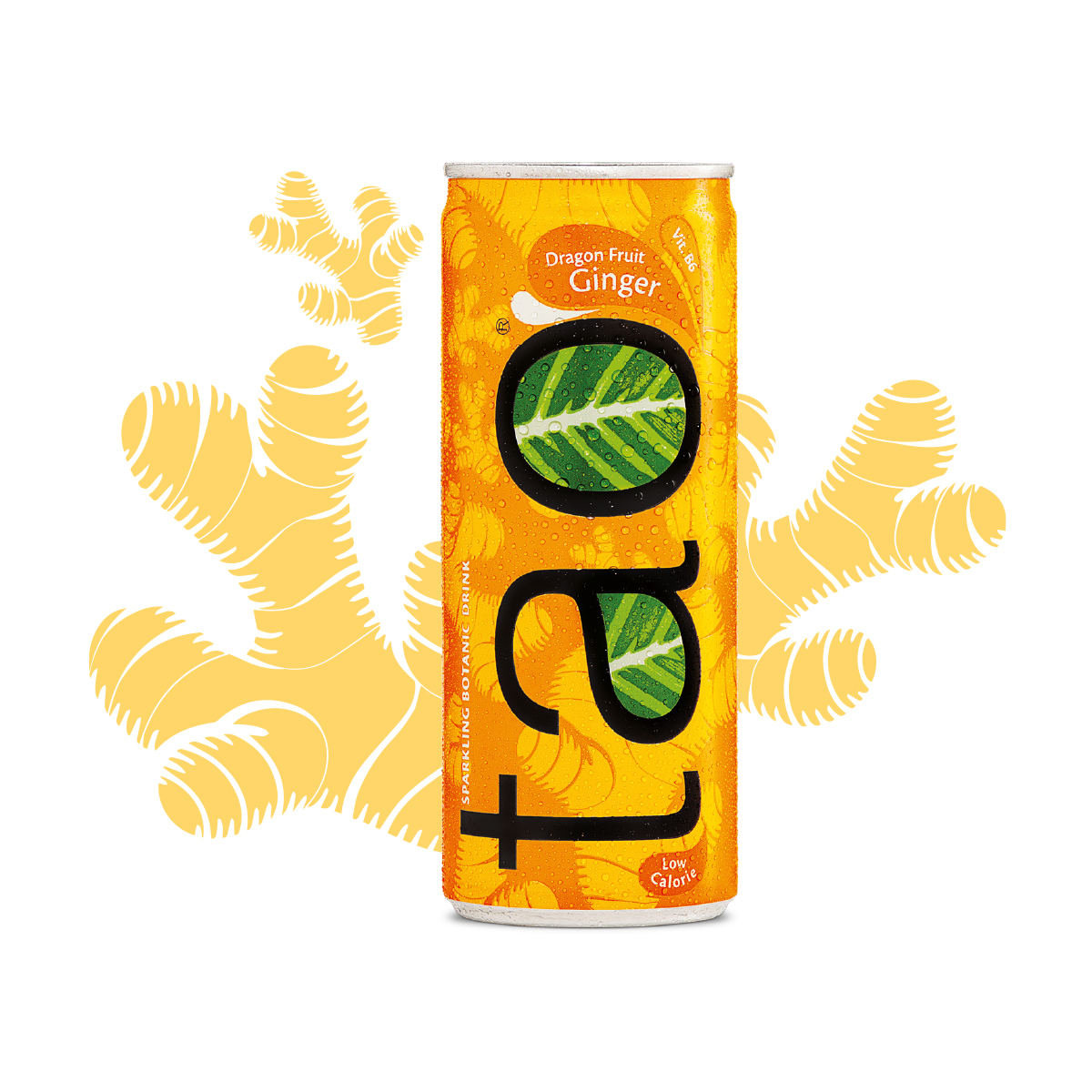 Ginger & Dragonfruit